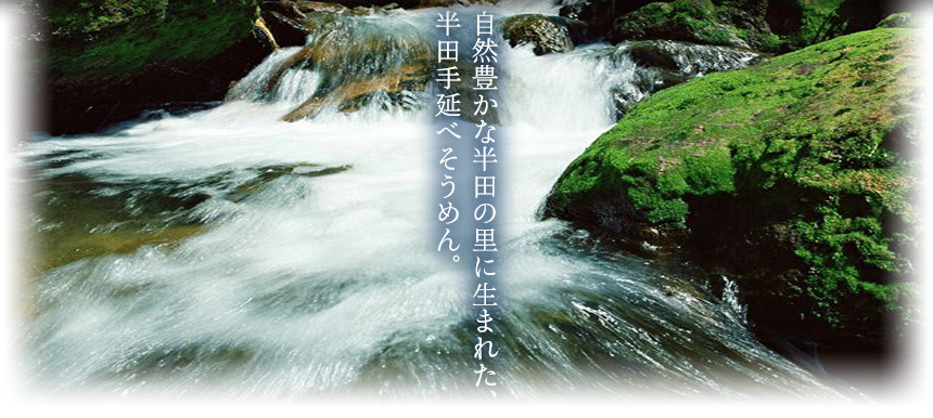 自然豊かな半田の里に生まれた、半田手延べそうめん。